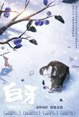 91社在线观看
